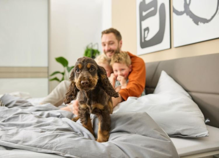 Mann mit Kind und Hund auf einem hellen Bett in einem gemütlich eingerichteten Schlafzimmer.